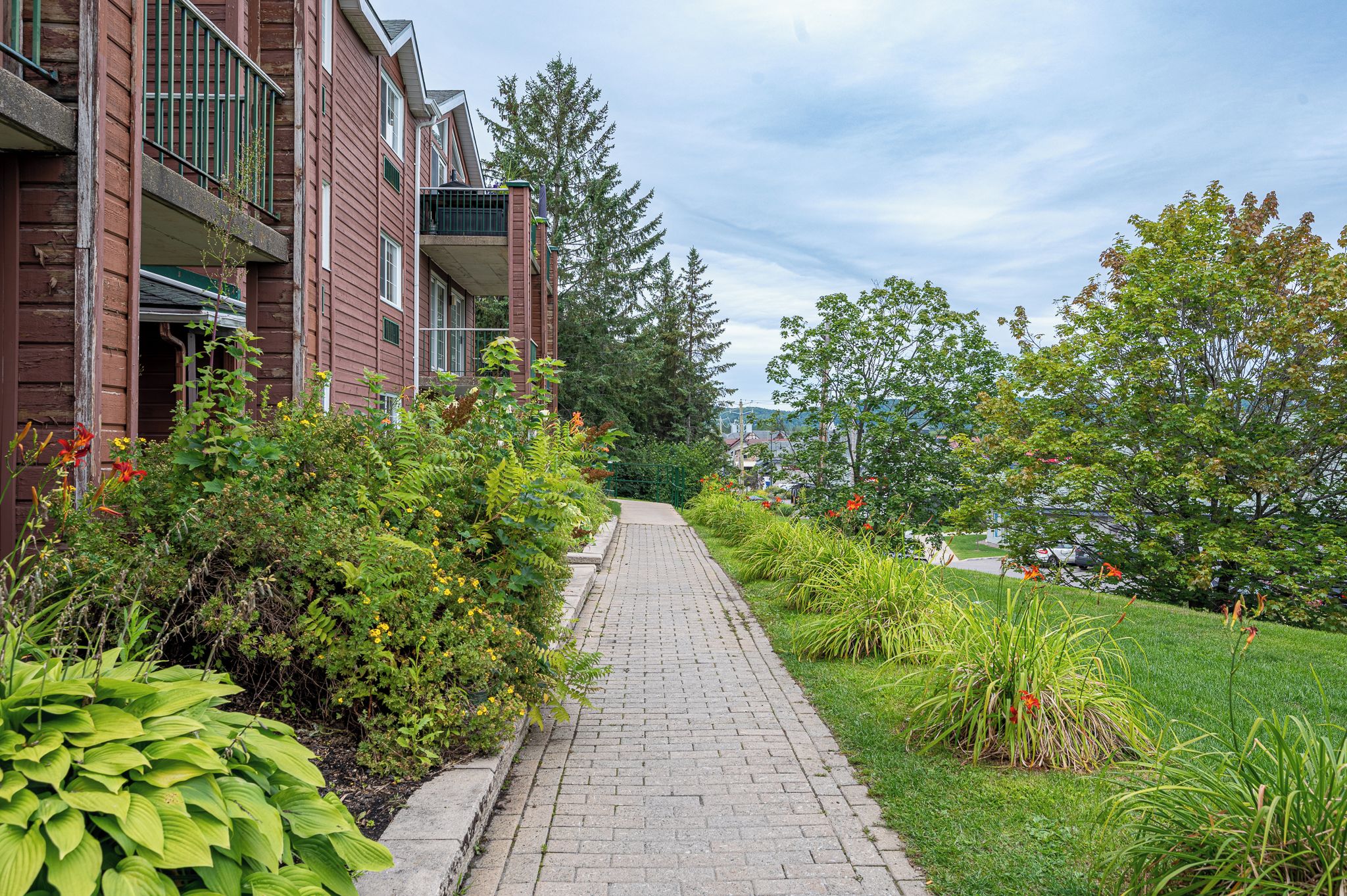 A brick pathway leading to a building with balconies, surrounded by lush greenery and trees.