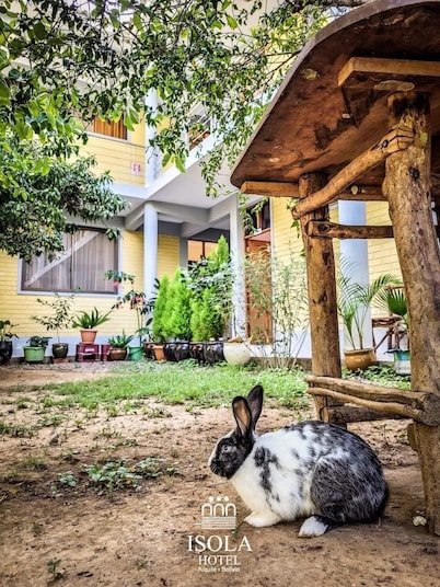 Hotel Isola by Aiquile