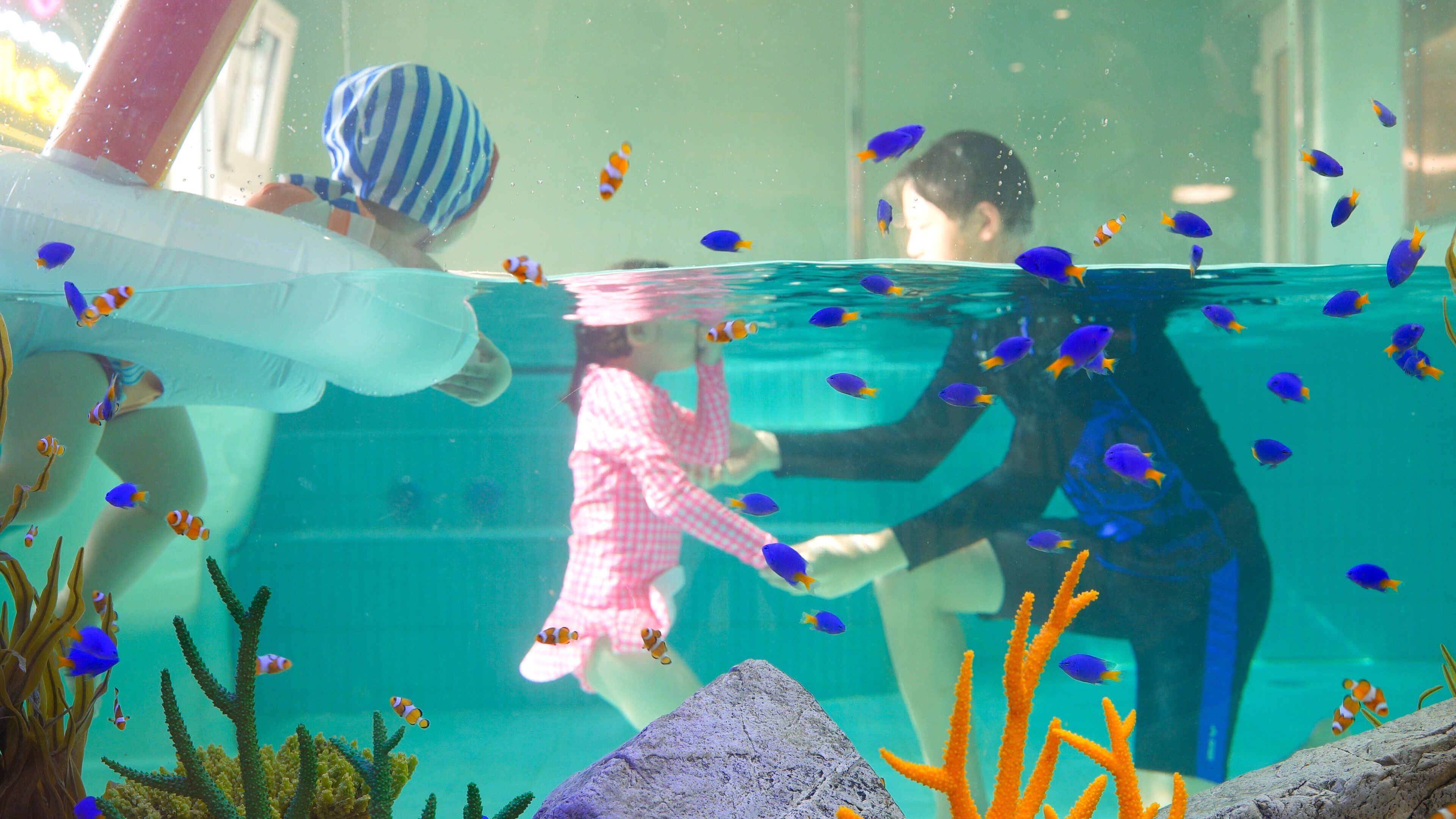 An underwater scene with a person in a pink dress and striped hat, another in a blue swimsuit, and a third in a black outfit.