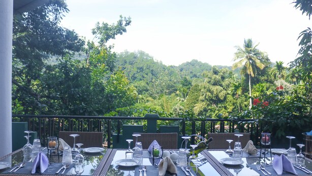 Un comedor al aire libre con cristalería y platos, rodeado de sillas de mimbre, con vistas a un paisaje verde y exuberante.