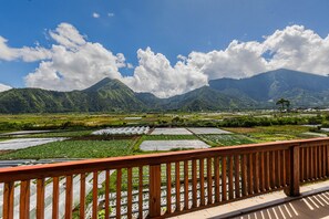 View from room - Teras Sawah Guest House Syariah (Sembalun Lawang)