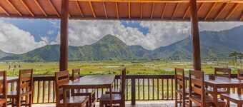 Teras Sawah Guest House Syariah