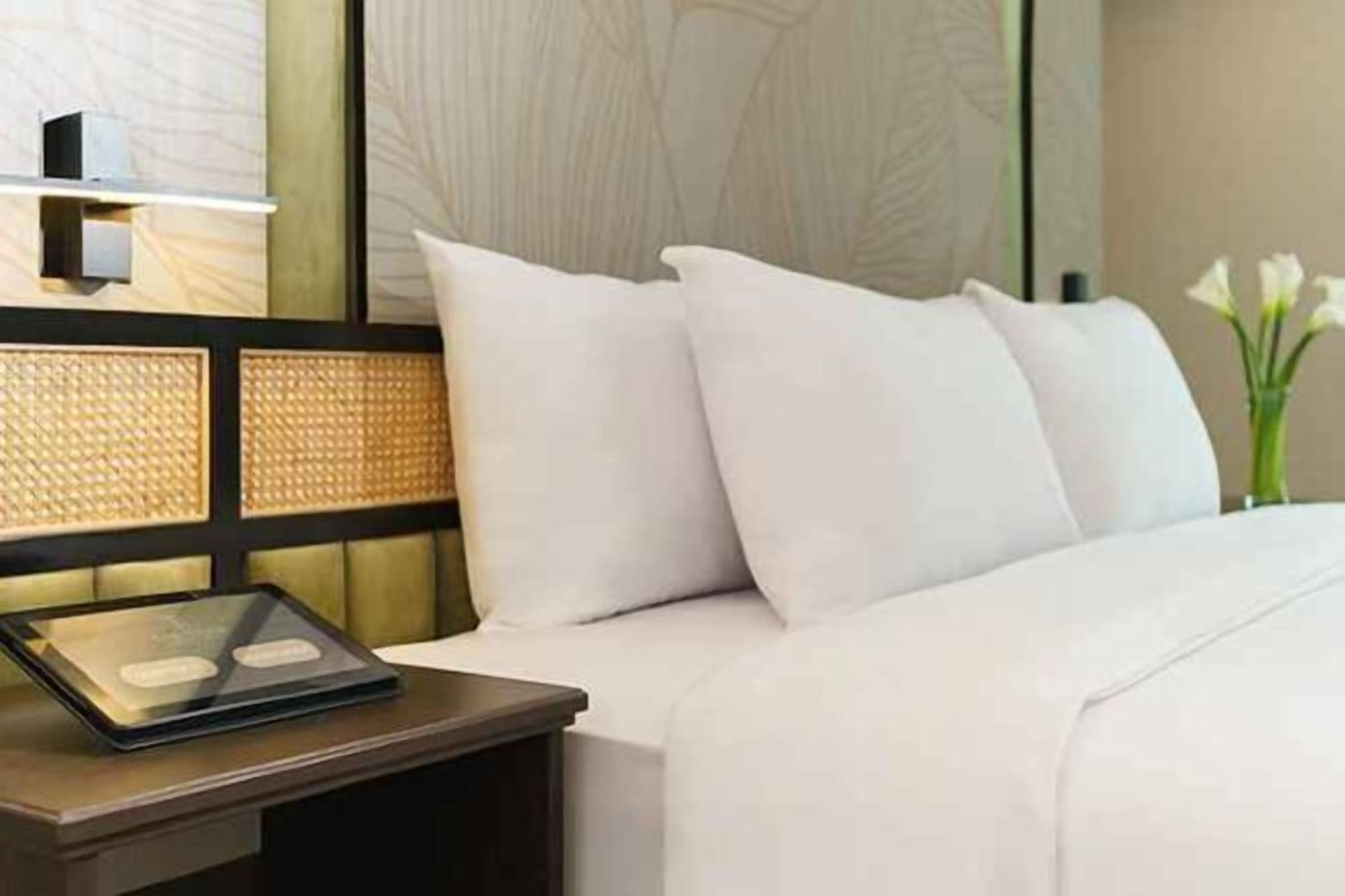 ตู้นิรภัยในห้องพัก, เตารีด/โต๊ะรีดผ้า, Wi-Fi ฟรี