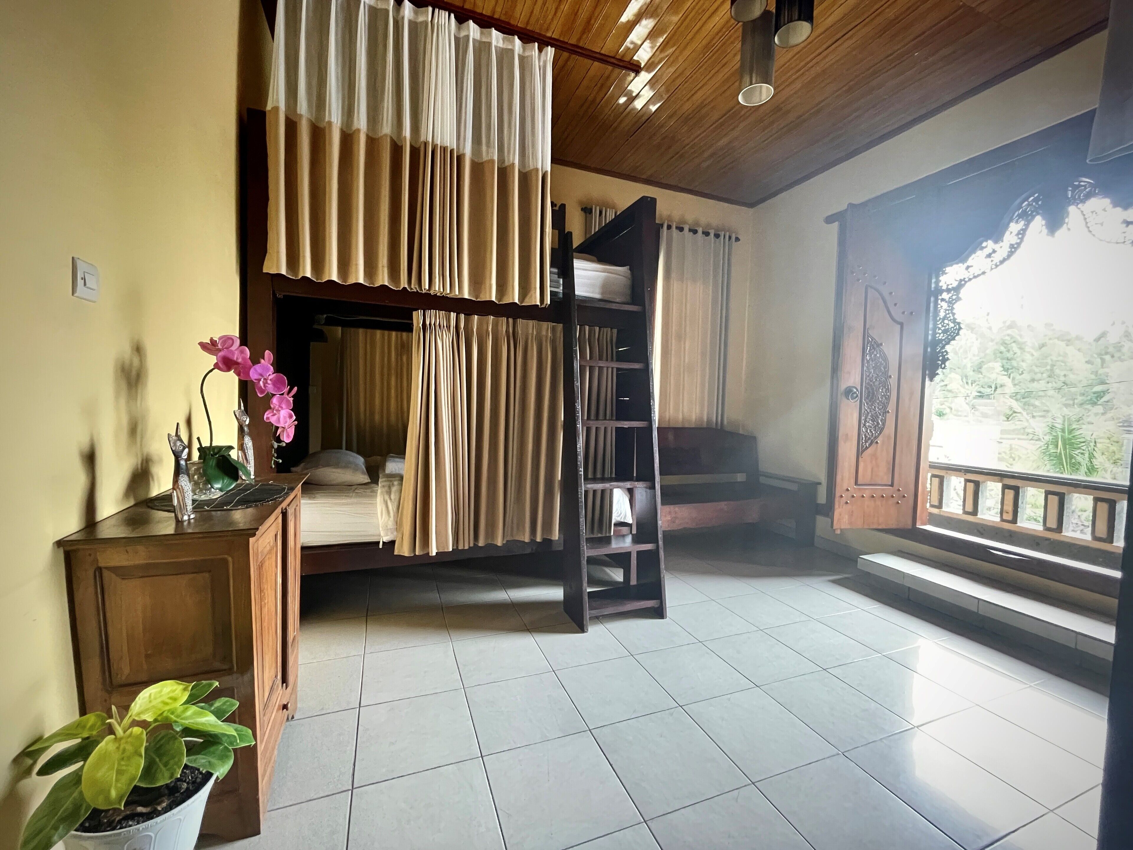 A room with a bed, a small desk, a potted plant, a ladder, and a view of greenery outside.