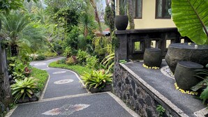 A pathway leading to a building surrounded by lush greenery and tropical plants. - Desa Hostel (Munduk)