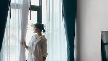 Deluxe Double Room, City View | City view