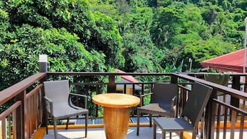 Family Room | Balcony view