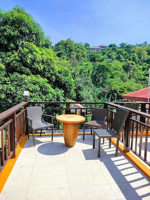 ファミリー ルーム | バルコニーからの眺望