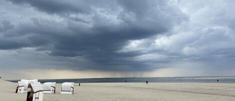 بالقرب من الشاطئ