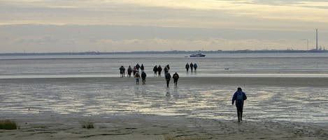 Plage à proximité