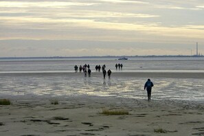 Nær stranden