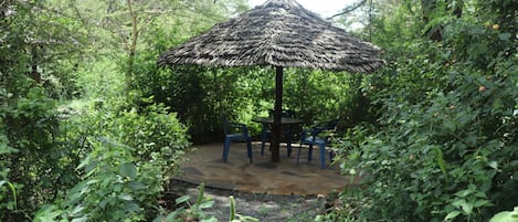 Habitación estándar | Terraza o patio