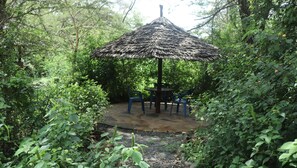 Chambre Standard | Terrasse/Patio