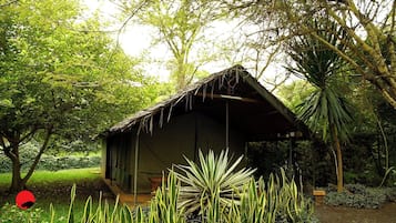 Standard Room | 1 bedroom, iron/ironing board, free WiFi