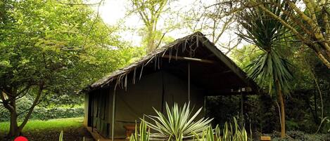 A small, rustic hut with a thatched roof, surrounded by lush greenery and palm trees.