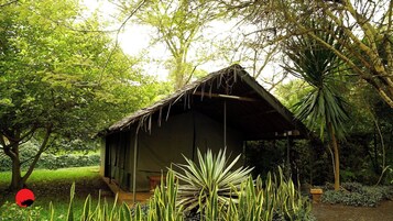 1 habitación, tabla de planchar con plancha y wifi gratis 