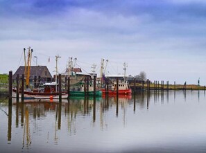 Port de plaisance