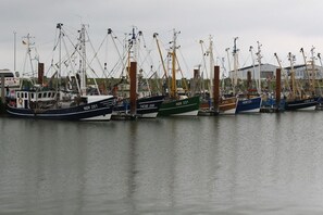 Marina - Holiday apartment salt marshes (Reken)