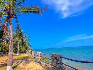 Une scène de plage avec des palmiers, une clôture en pierre et un ciel bleu dégagé.