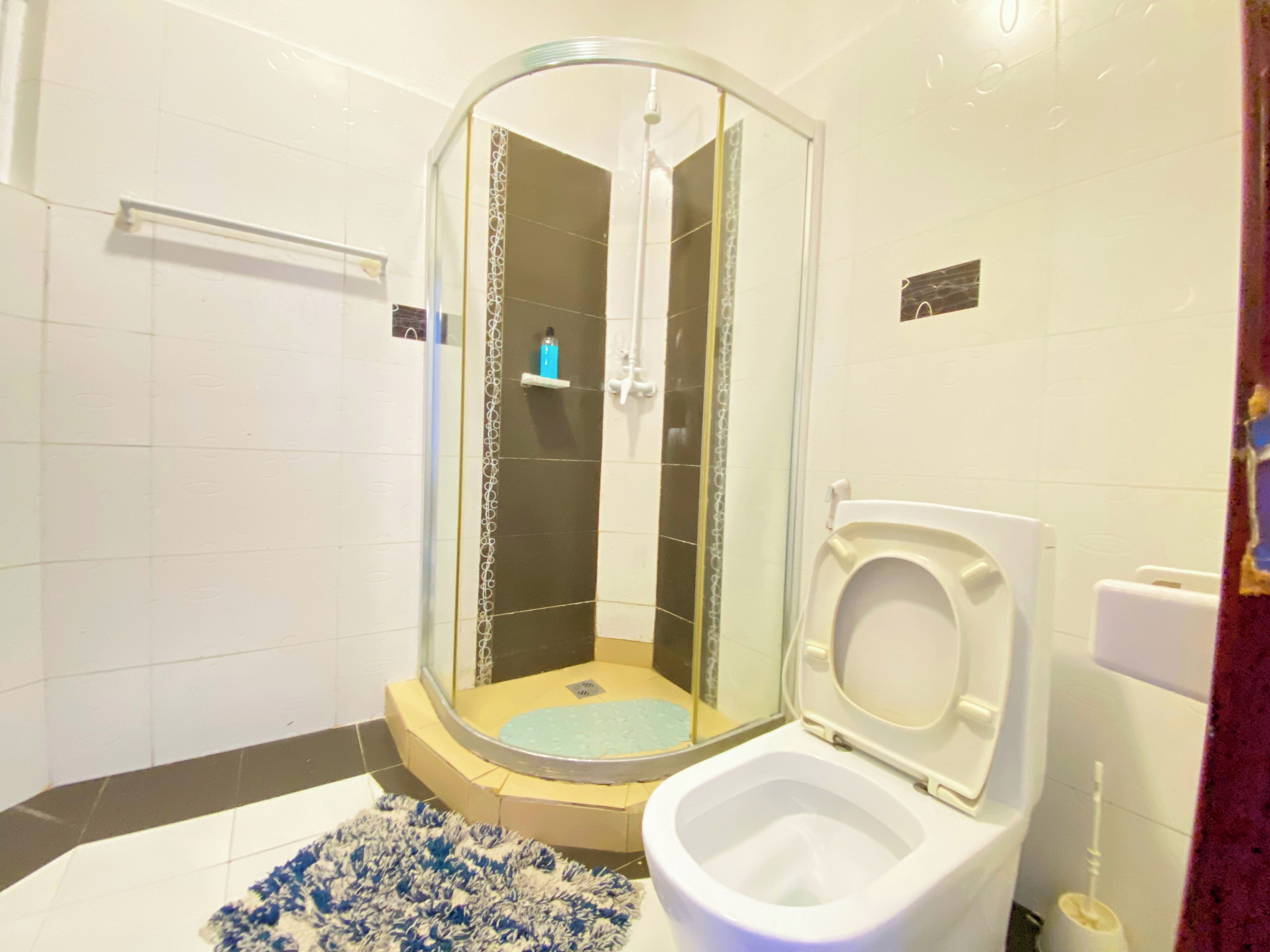 A bathroom with a glass-enclosed shower, a toilet, and a blue rug.