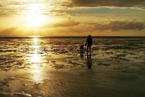 Nära stranden