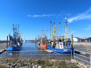 Port de plaisance