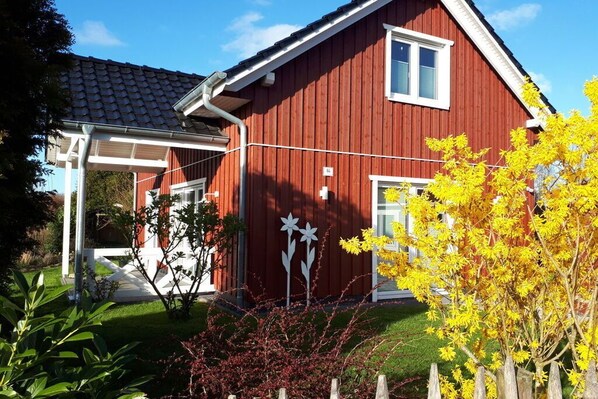 Exteriör