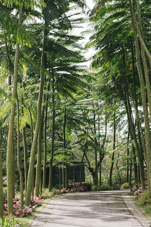 Garden - The Hill Hotel & Resort Sibolangit Powered by Archipelago (Sibolangit)