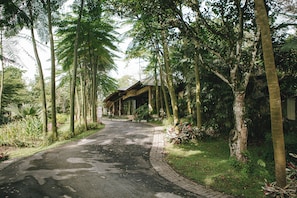 Garden - The Hill Hotel & Resort Sibolangit Powered by Archipelago (Sibolangit)