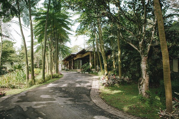 Jardí