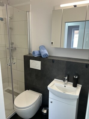 Ducha, secador de pelo, jabón, papel higiénico