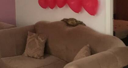 Beautiful Apartment in Ariana, 5 minutes to Africa Mall