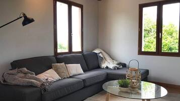 TV, fireplace, books