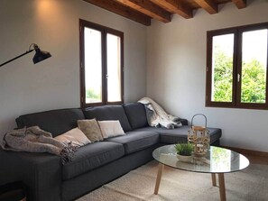 TV, fireplace, books