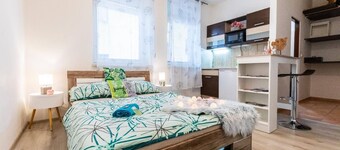 Apartment Křenka 9 Brno center
