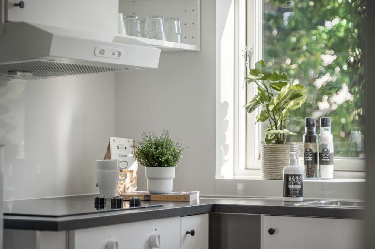 Oven, stovetop, dishwasher