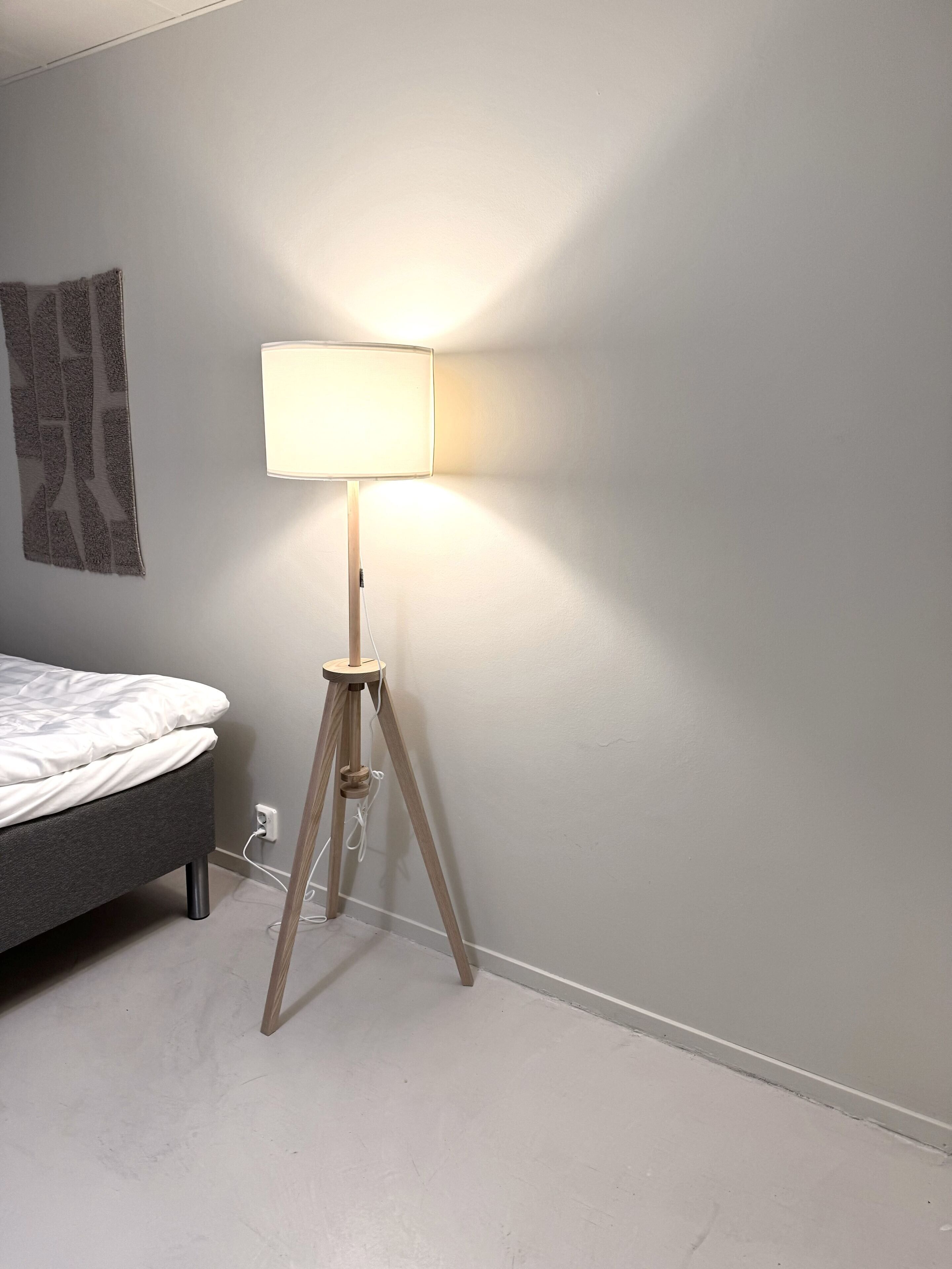 A modern bedroom with a single bed, a floor lamp, and a wall-mounted artwork.