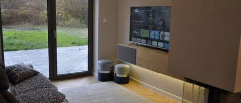 Smart TV, fireplace, books