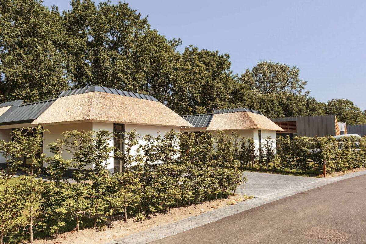 Une rangée de maisons modernes, blanches, à deux étages, avec des toits de chaume, entourées d’une végétation luxuriante et bordées d’une allée pavée.