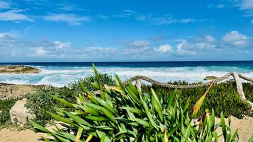 Playa en los alrededores
