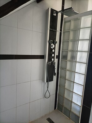 Secador de pelo, toallas y papel higiénico