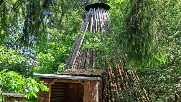Une construction rustique en bois, dotée d’un toit en pente et entourée d’une végétation luxuriante.