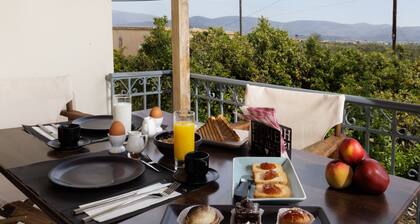 Villa Ero
Lux villa near Nafplio with pool, cinema room, grand piano