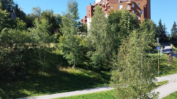 Un quartier résidentiel comprenant un immeuble à plusieurs étages, une route asphaltée et un espace verdoyant avec des arbres.