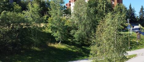 Terrain de lâhĂ©bergement