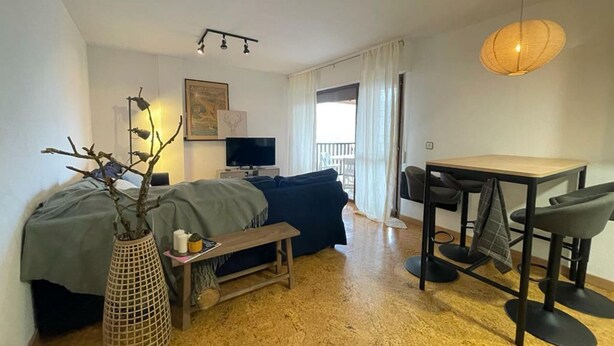Ett kompakt bostadsutrymme med en säng, en tv, ett matbord med stolar, en liten bänk och en prydnadsväxt.