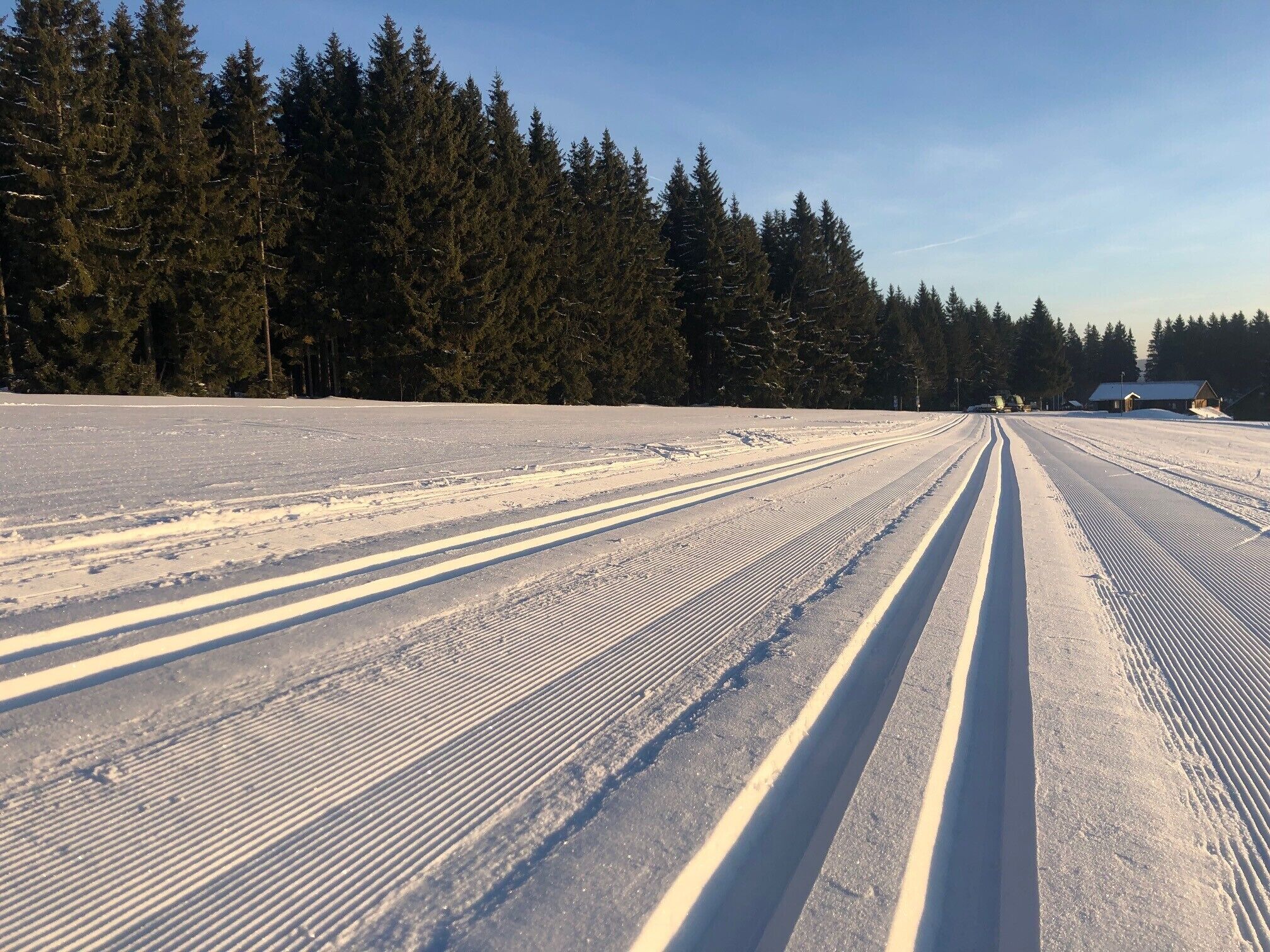 En snötäckt väg med spår av däck och en skog i bakgrunden.