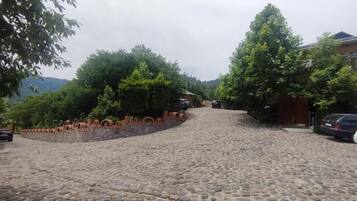 A cobblestone street with parked cars and trees lining the sides.