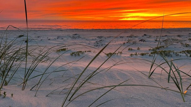 A beach with sand and sparse vegetation. - Hotel Strandgaarden (Læsø)