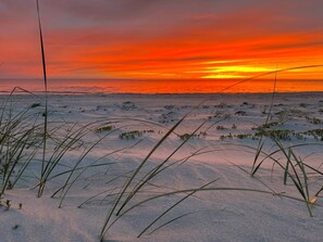 Una playa con arena y vegetación escasa.